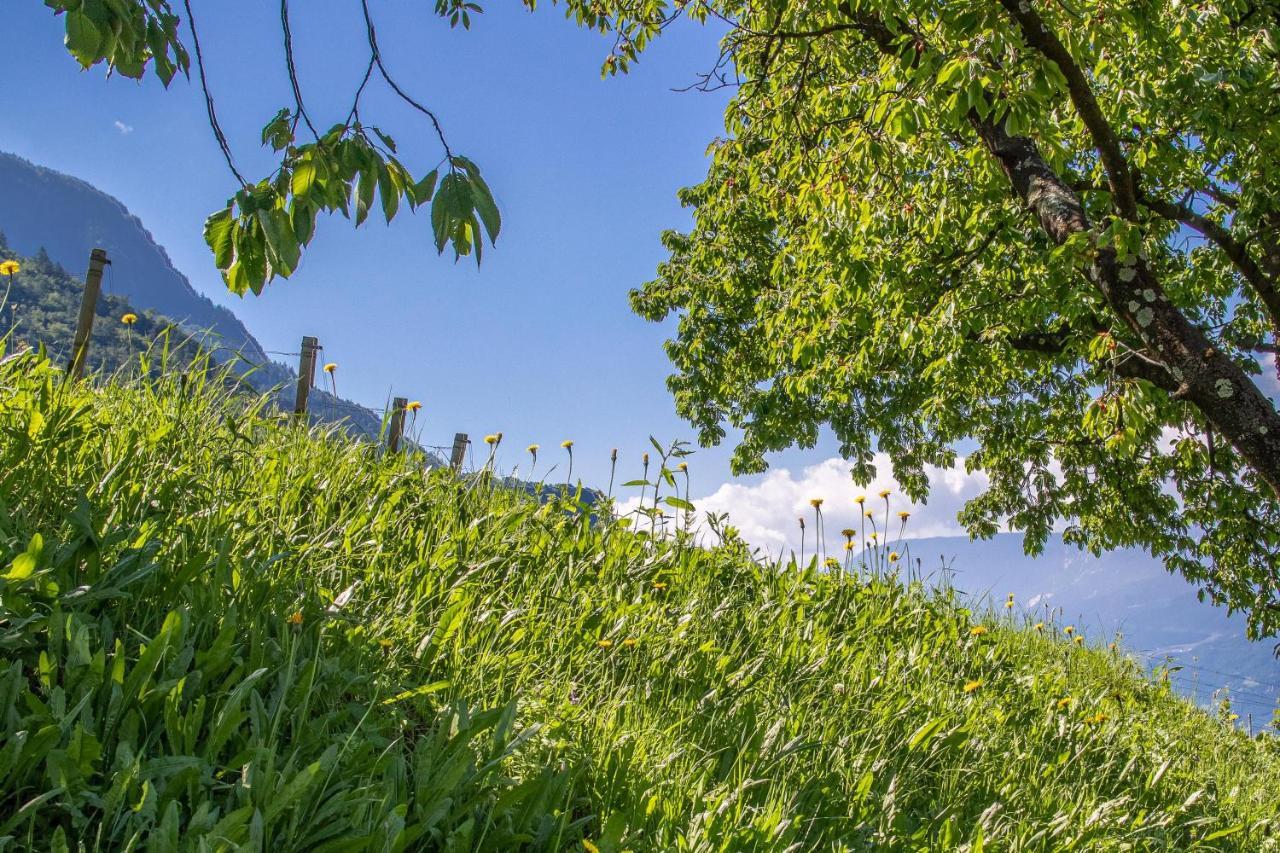 Ferienwohnung Pinot Merano Bagian luar foto