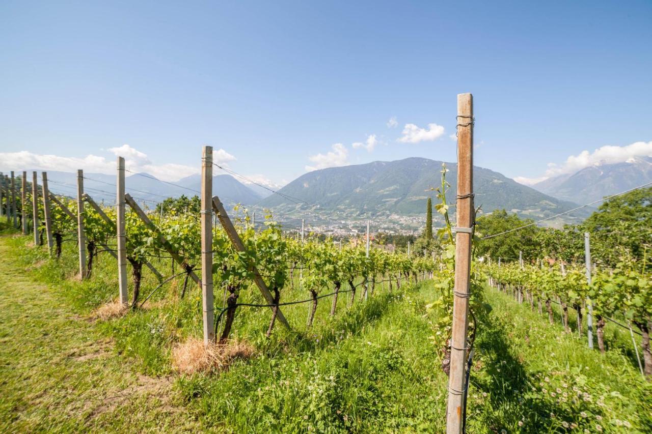 Ferienwohnung Pinot Merano Bagian luar foto